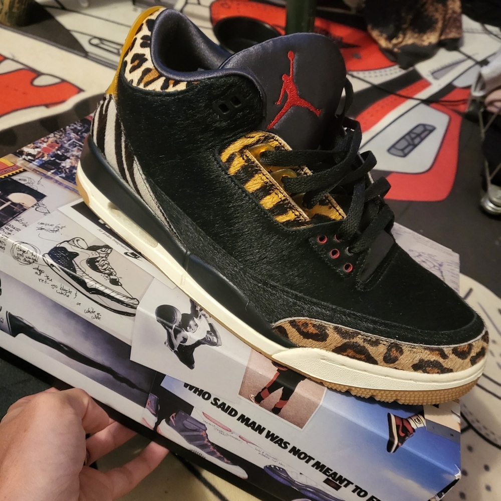 Jordan 3